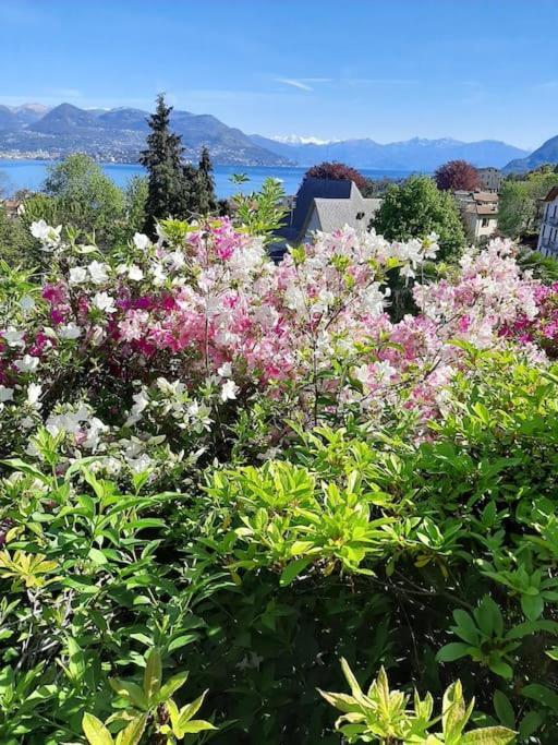 La Finestra Sul Lago - In Villa Con Vista E Posto Auto Coperto Stresa Exterior photo